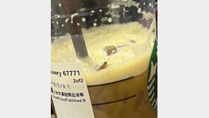 “바퀴벌레가 음료에”  中 스타벅스 또 구설…업체측 “문제없어”