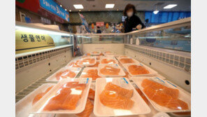 연어 먹기 힘들어지나…하늘길-송금길 막히자 수산물값 폭등