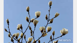 [날씨]비 그친 뒤에도 포근…미세먼지 곳곳 ‘나쁨’