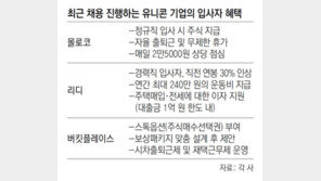 “주식 드려요” “연봉 30% 더”… 스타트업, 인재 모시기 통 큰 유혹 