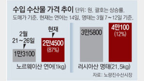 러 하늘길 막히자… 연어값 87% 껑충 