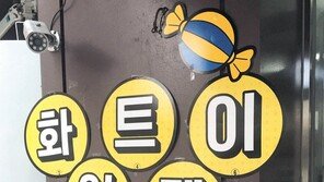 [고양이 눈]화트이이데?