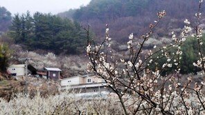 [날씨]낮 최고 9~21도 포근…미세먼지 곳곳 ‘나쁨’