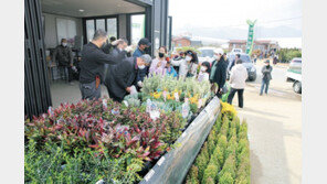 식목철 맞아 옥천서 묘목을 사는 사람들