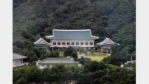 靑 “文정부가 안한 일로 민정실 폐지 근거 삼는건 부적절”