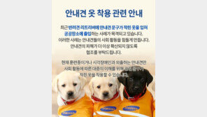 안내견도 아니면서…마트·버스에 ‘노란조끼’ 반려견 눈살