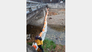 “산불 잿더미 하천 유입 막아라” 강릉시 2차피해 차단 나서