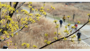 [날씨]16일 출근길은 ‘쌀쌀’, 낮에는 ‘포근’…큰 일교차 주의