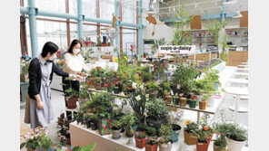 초록빛으로 물들인 나만의 공간서 설레는 봄맞이