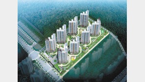 대규모 브랜드 타운 3차 분양