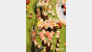 [고양이 눈]오뚝이 나라