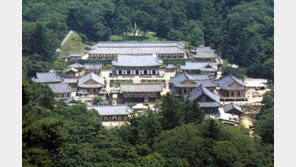 해인사, 화엄경 39개월간 완독 법회 연다