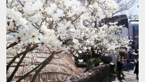 [날씨]초겨울 같은 아침, 한여름 같은 낮기온…미세먼지 주의