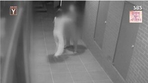 ‘마포 데이트폭력’ 가해자, 2심서 “상해치사 아닌 폭행치사”