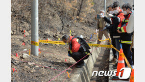 산불 가해자 10명중 4명만 붙잡혀…처벌도 솜방망이 그쳐
