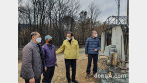 농협, 강원 경북 산불피해 복구 최대 100억원 규모 전사적 지원