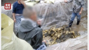中 식품 공장, 배추절임에 담배꽁초 버려…“또 식품 위생 논란”
