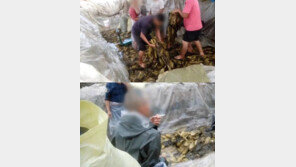 담배피우며 맨발로 배추 밟고…中 또다시 비위생 논란