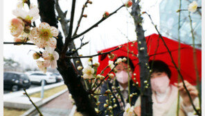 [날씨]내일 흐리고 봄비 최대 80㎜…강원 산지 눈 최대 30㎝