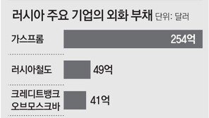 “러, 1500억 달러 디폴트 임박”… 1억 달러 국채이자 지급이 첫 관문 
