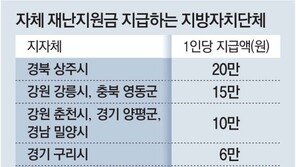 지방선거 앞두고 재난지원금 뿌리는 지자체들