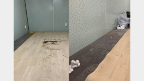 산불 현장 투입됐다 ‘확진’ 장병 “더러운 컨테이너에 격리”