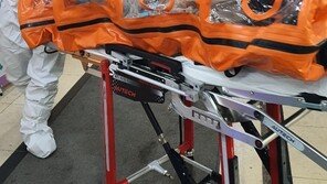 천안→울산 3시간 30분 달려 출산…확진 임산부 119도움 득녀