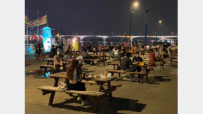 서울시, 공원·하천 등 금주구역 지정 추진