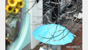 [날씨]금요일 전국 흐리고 비소식…강원산지 최대 40㎝ 눈