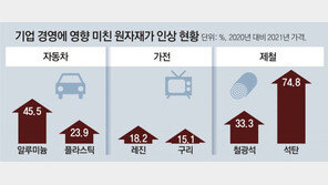 알루미늄 46%↑ 석탄 75%↑… 한국 주력산업 ‘원재료 쇼크’ 