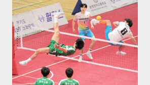 세팍타크로는 날아차야 제맛이지