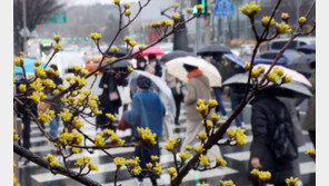 [날씨] 내일 눈·비에 꽃샘추위 아침 0~7도…강원 산지 최대 30㎝ 눈