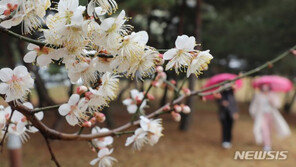 전국 흐린 날씨…비·눈 그쳤다 저녁에 다시 내려