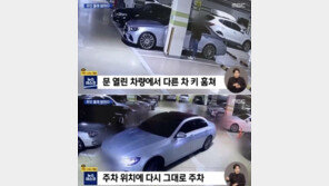 밤마다 외제차 훔쳐 도심 질주 ‘간큰 10대들’ 일주일만에 들통