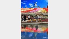 방탄소년단과 함께 봄꽃 즐겨요[청계천 옆 사진관]