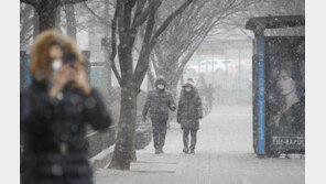 내일 새벽 1~5cm 눈 예보…서울시 제설1단계 비상 근무