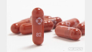 [단독]확진 폭증에, 머크 ‘먹는 치료제’ 이르면 내주 승인 