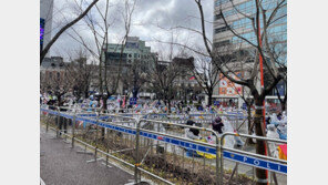 궂은 날씨·확진자 폭증 속 도심 곳곳 집회…인수위로 행진도