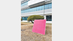 사막 한가운데서도 물청소 필요 없는 태양광 패널 