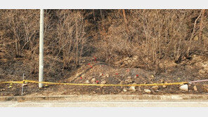 최초 발화지를 찾아라…울진 산불 현장서 돌 그을음 살피는 까닭은?[사건 Zoom In] 