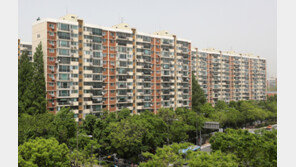 오세훈 밀고 윤석열 끌고…‘재건축 끝판왕’ 압구정 신고가 계속