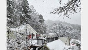 춘분 앞두고 쏟아진 눈…스키장 운영도 일주일 연장