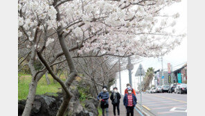 [날씨]내일 ‘춘분’ 꽃샘추위 낮에 풀려…중서부 대기질 ‘나쁨’