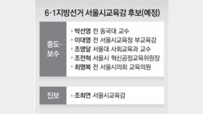 서울교육감 선거, 보수 단일화 난항