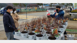 “식목철에 어떤 나무를 심을까”
