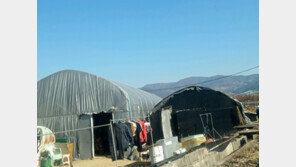 이주노동자들 “코로나 걸린 동료와 숙소에서 함께 지내”