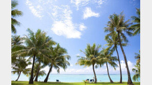 오늘부터 국내입국 격리 면제…해외 유명 관광지들 문 활짝