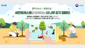 “메타버스에 나무 심으면 산불피해지에 실제 나무가 생겨요”