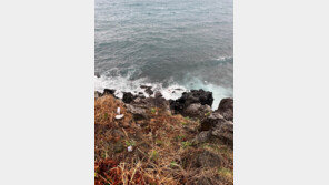 제주 펜션 주차장에서 가속한 승용차 해안절벽 추락…2명 사상