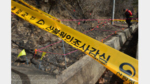 “산불 45% 쓰레기 소각·논밭 태우다가…봄철 주의해야”